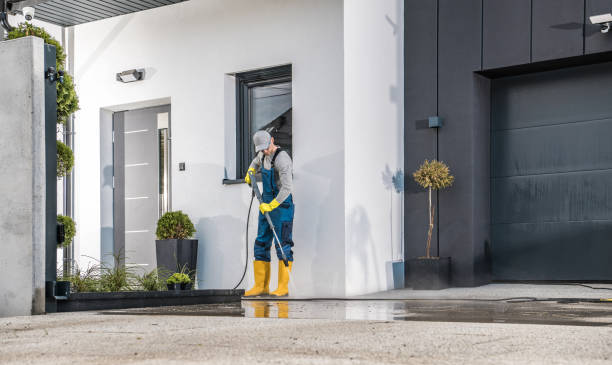 Best Dumpster Area Cleaning  in Allison, IA