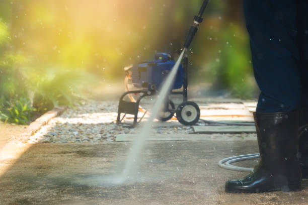 Best Gutter Cleaning  in Allison, IA